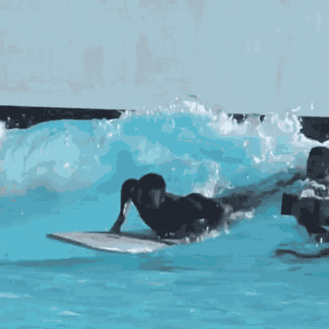 Surfista Caindo Paulo Andre GIF