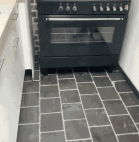 Surprise Excited GIF