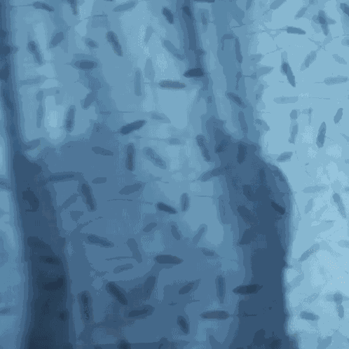 Surprise Motherfcker James Doakes GIF
