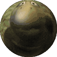 Surprised Turtle Shocked Turtle Sticker