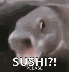 Sushi Lol GIF