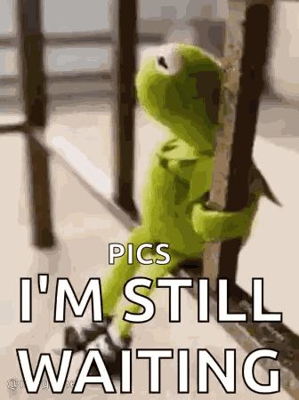 Sussa GIF