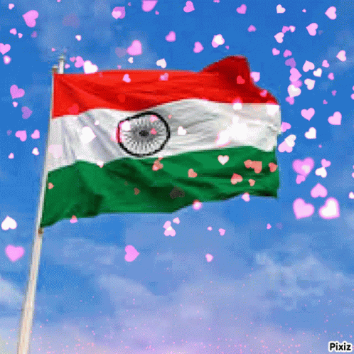 Suveer Indian Flag GIF