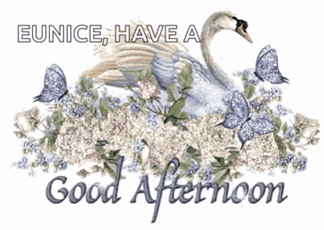 Swan Good Afternoon GIF