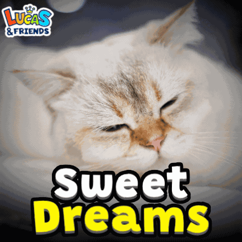 Sweet Dreams Good Dreams GIF