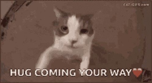 Sweet Dreams GIF