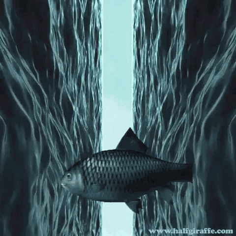 Swimming Digital Art GIF