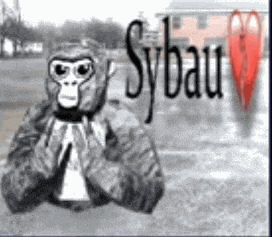 Sybau Meme Gorilla Meme