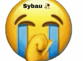 Sybau Meme