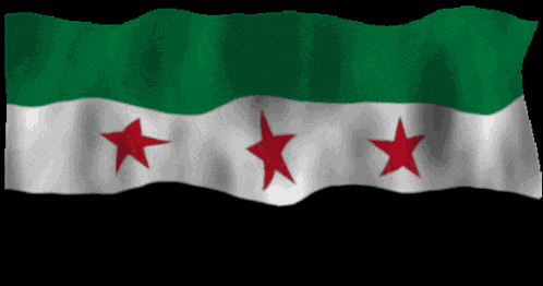 Syrian Flag GIF