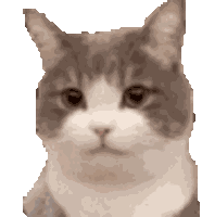 Syz Blush Syz Blushing Sticker