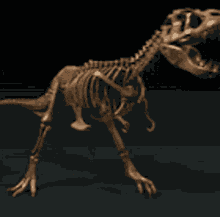 T Rex Skeleton Spinning GIF