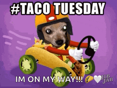 Taco Tuesday Happy GIF