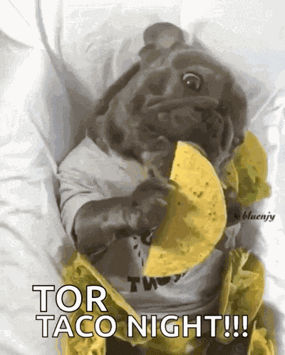 Tacos Dog GIF
