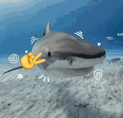 Taehyun Txt Taehyun GIF