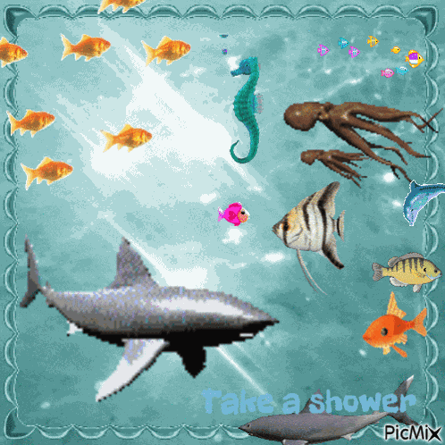 Take A Shower Fish GIF