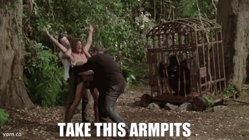 Takethisarmpits GIF