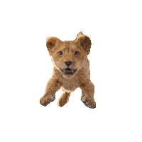 Taking A Leap Mufasa Sticker