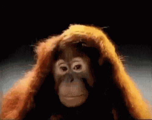 Talbottbusch123 GIF