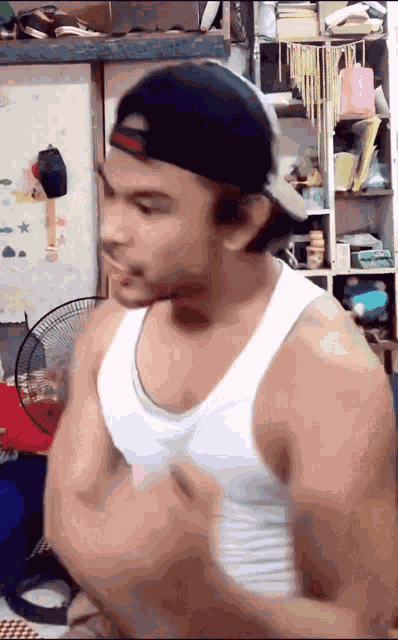 Tama Bob Royo GIF