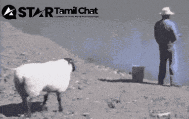 Tamil Chat Tamil Funny GIF