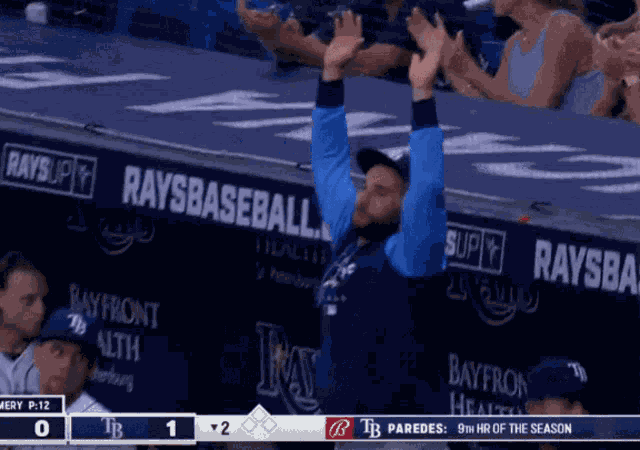 Tampa Bay Rays Baseball GIF