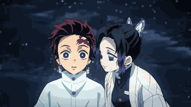 Tanjiro And Shinobu GIF