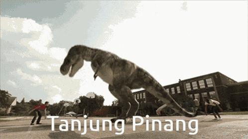 Tanjungpinang GIF