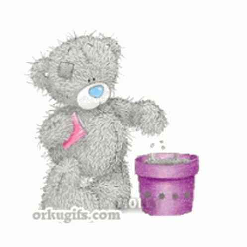 Tatty Teddy Life Of A Plant GIF