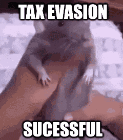 Tax Evasion Sucessful Taxevasionsucessful GIF