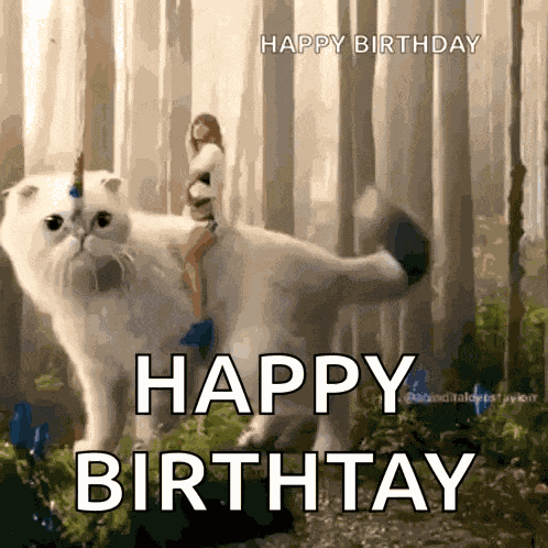 Taylor Swift Cat Joe Alwyn Cat GIF