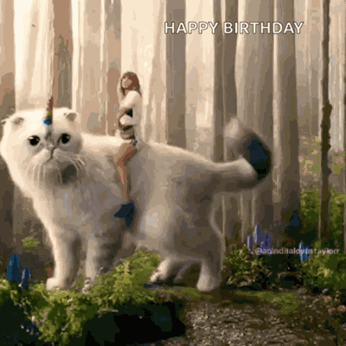 Taylor Swift Cat Joe Alwyn Cat GIF