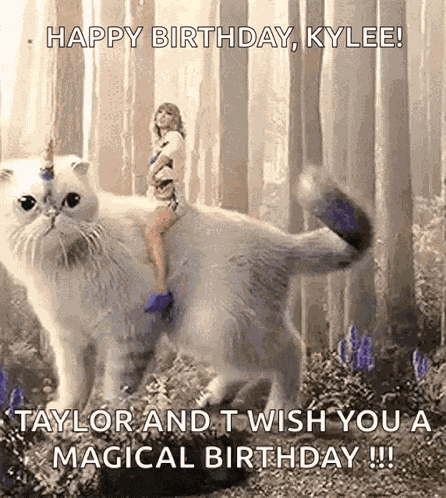 Taylor Swift Cat GIF