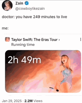 Taylor Swift Stupid Meme