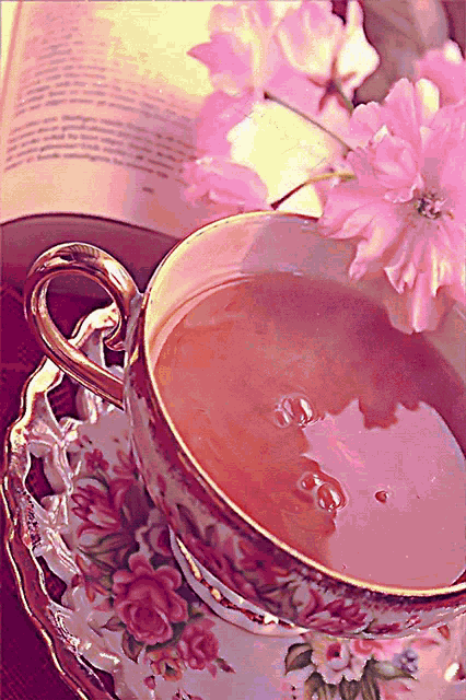 Tea Tea Cup GIF