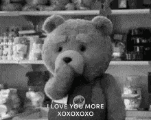 Ted Ted2 GIF