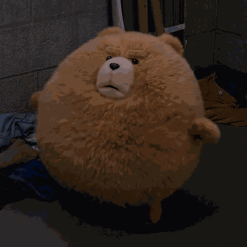 Ted Teddy Bear GIF