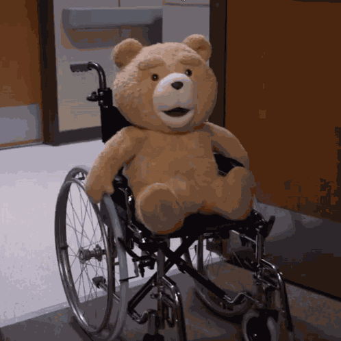 Ted Teddy Bear GIF