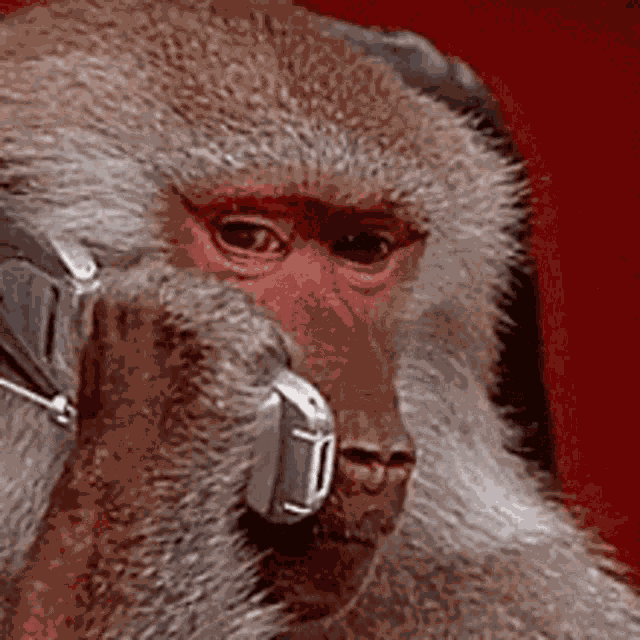 Telephone Call GIF