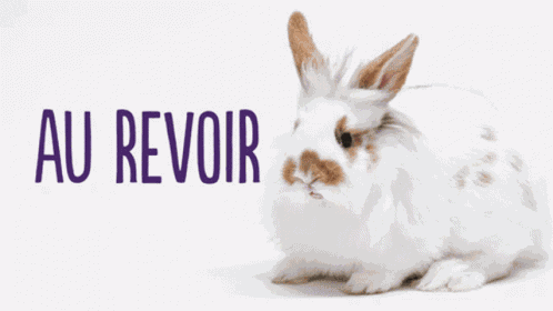 Telus Telu Sfr GIF