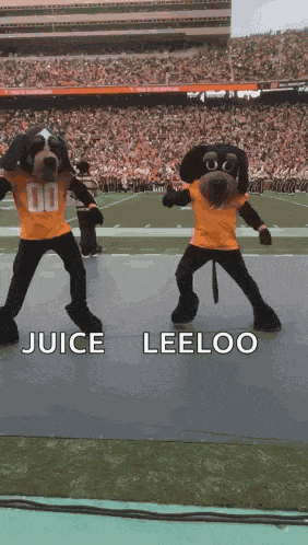 Tennessee Volunteers Smokey GIF