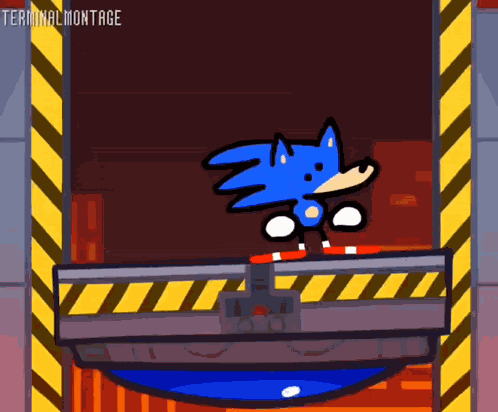 Terminalmontage Sonic GIF