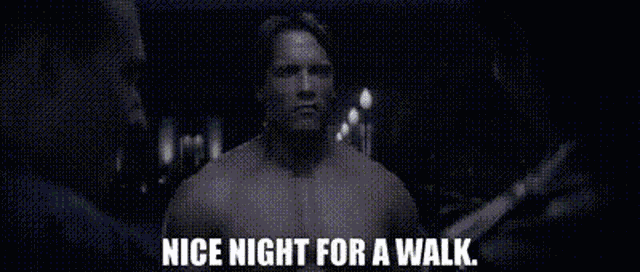 Terminator Nice Night For A Walk GIF