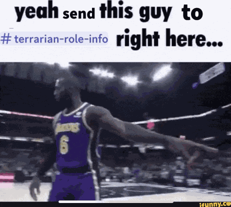 Terraria Terrarian Role Meme