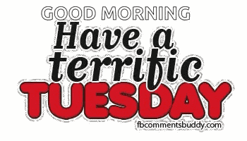 Terrific Tuesday Happy Tuesday GIF