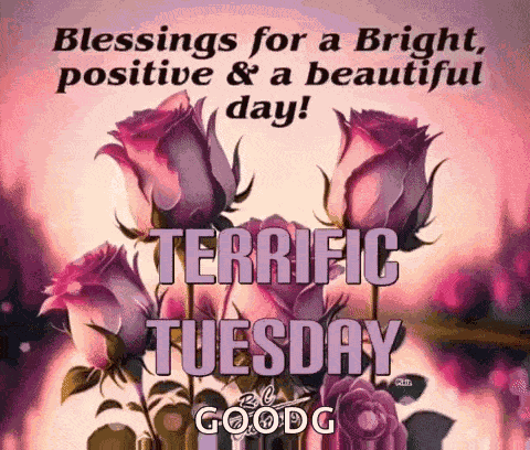 Terrific Tuesday GIF