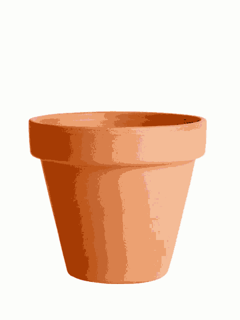 Testos Polles Dancing Dildo GIF