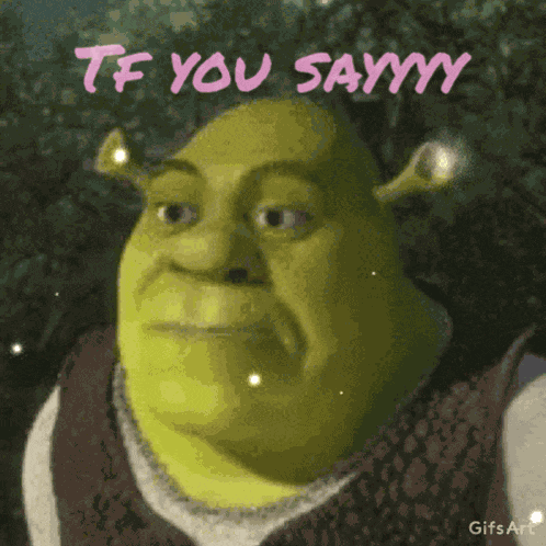 Tf You Sayy GIF
