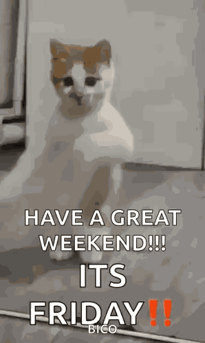 Thank God Its Friday Thank God It'S Friday GIF
