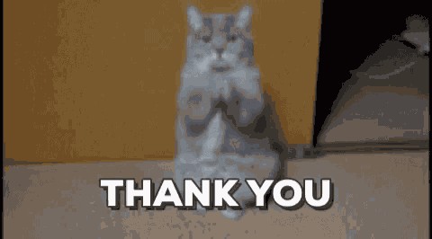 Thank Thanks GIF